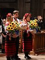 LMB_0954_048