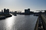 LMB_0277