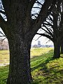 LMB_0349