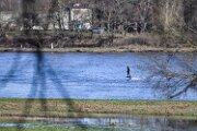 LMB_0429