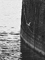 LMB_007