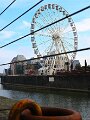 LMB_017
