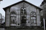 LMB_4331